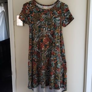 Lularoe carly